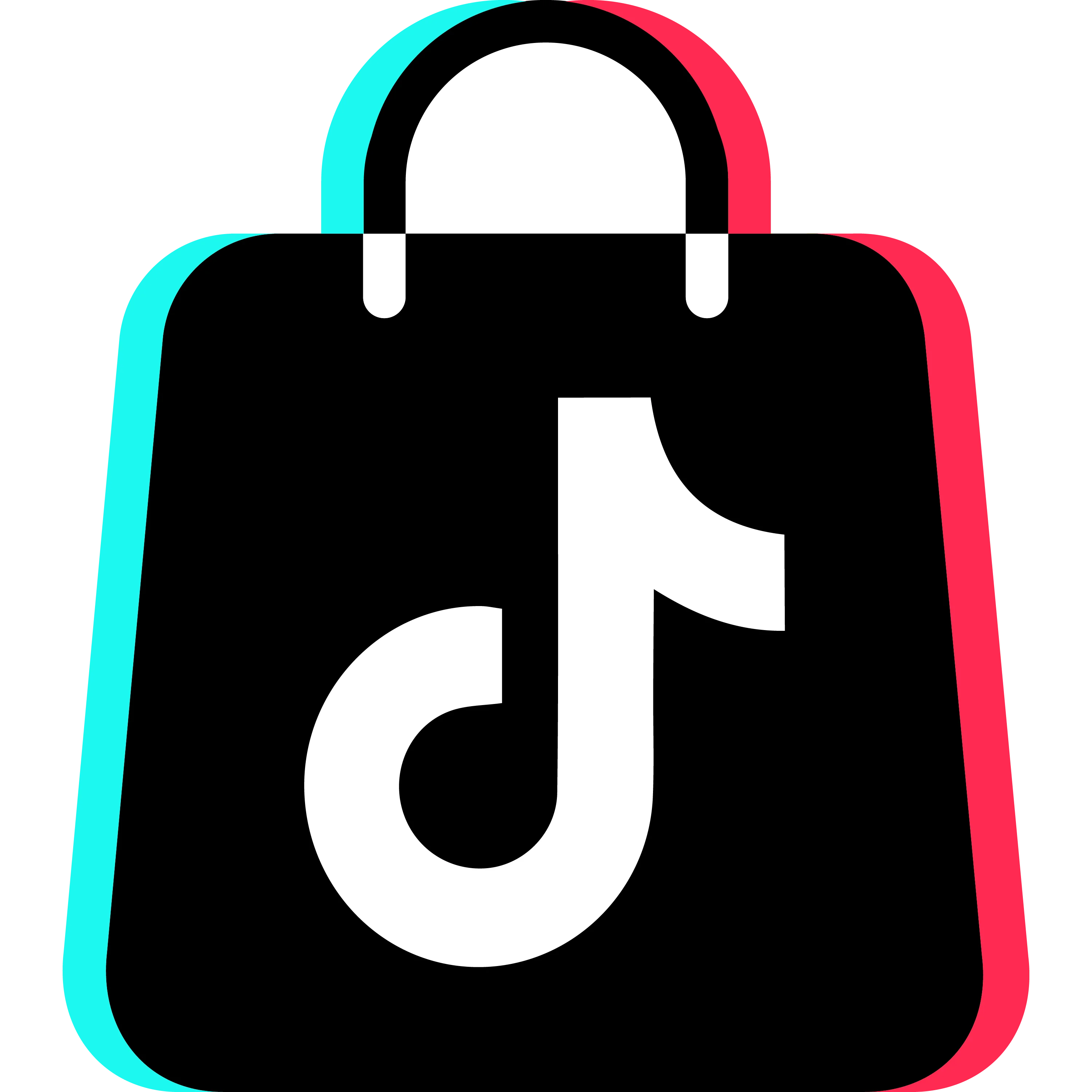 TikTok Logo